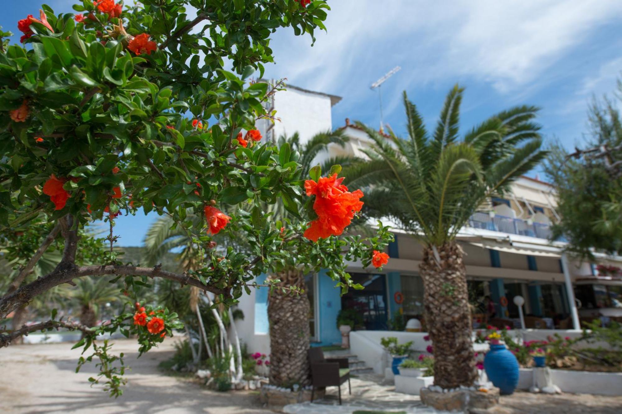 Hotel Avra Nea Epidavros Dış mekan fotoğraf