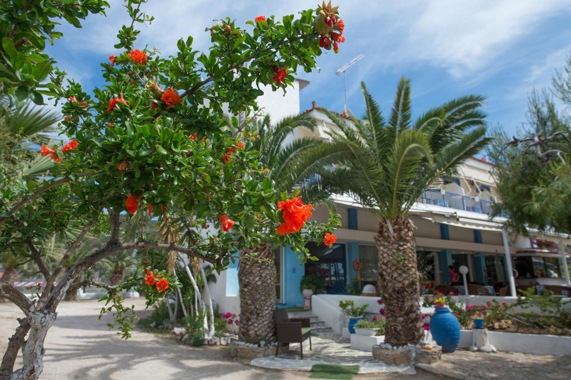 Hotel Avra Nea Epidavros Dış mekan fotoğraf