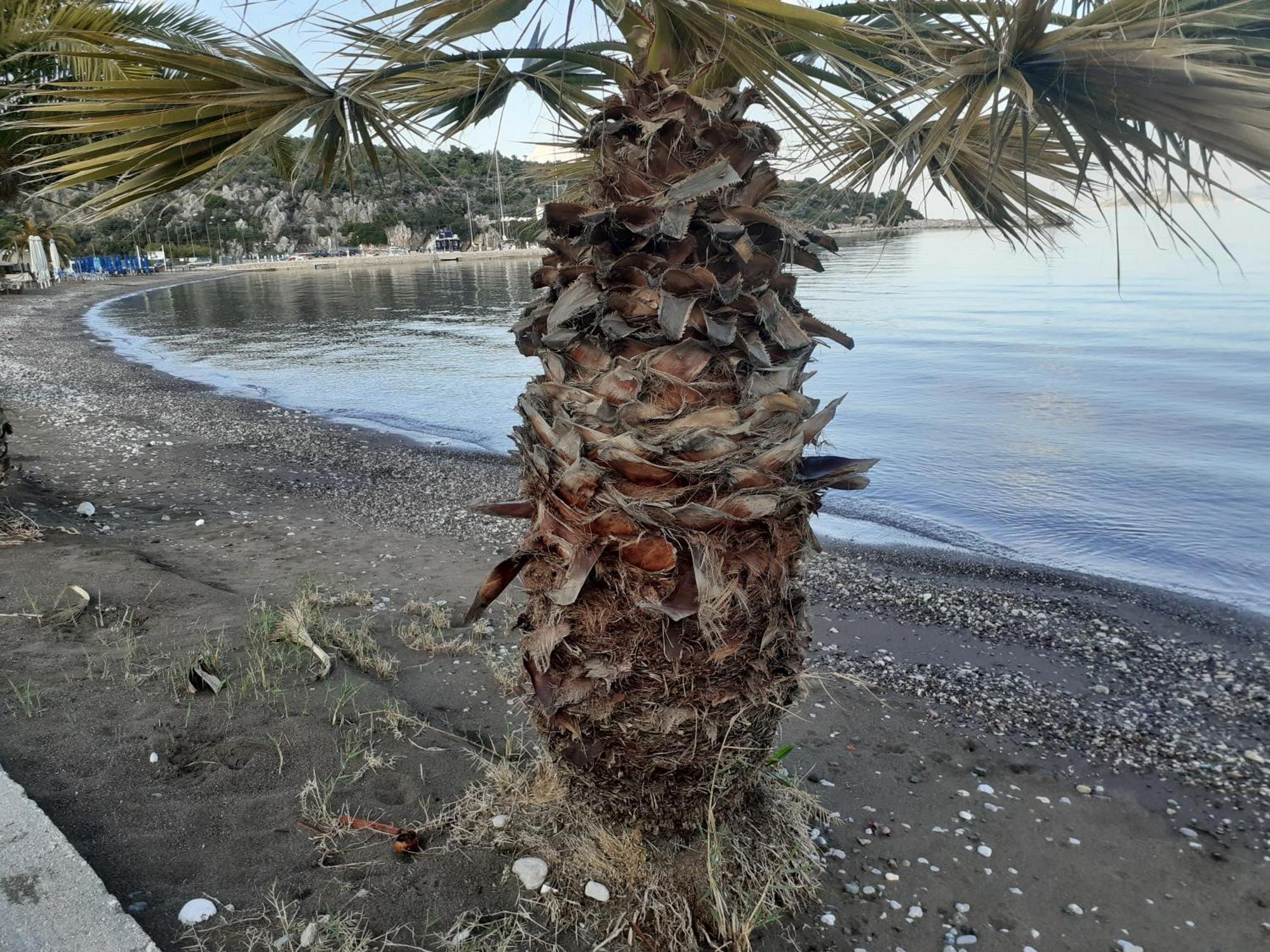 Hotel Avra Nea Epidavros Dış mekan fotoğraf