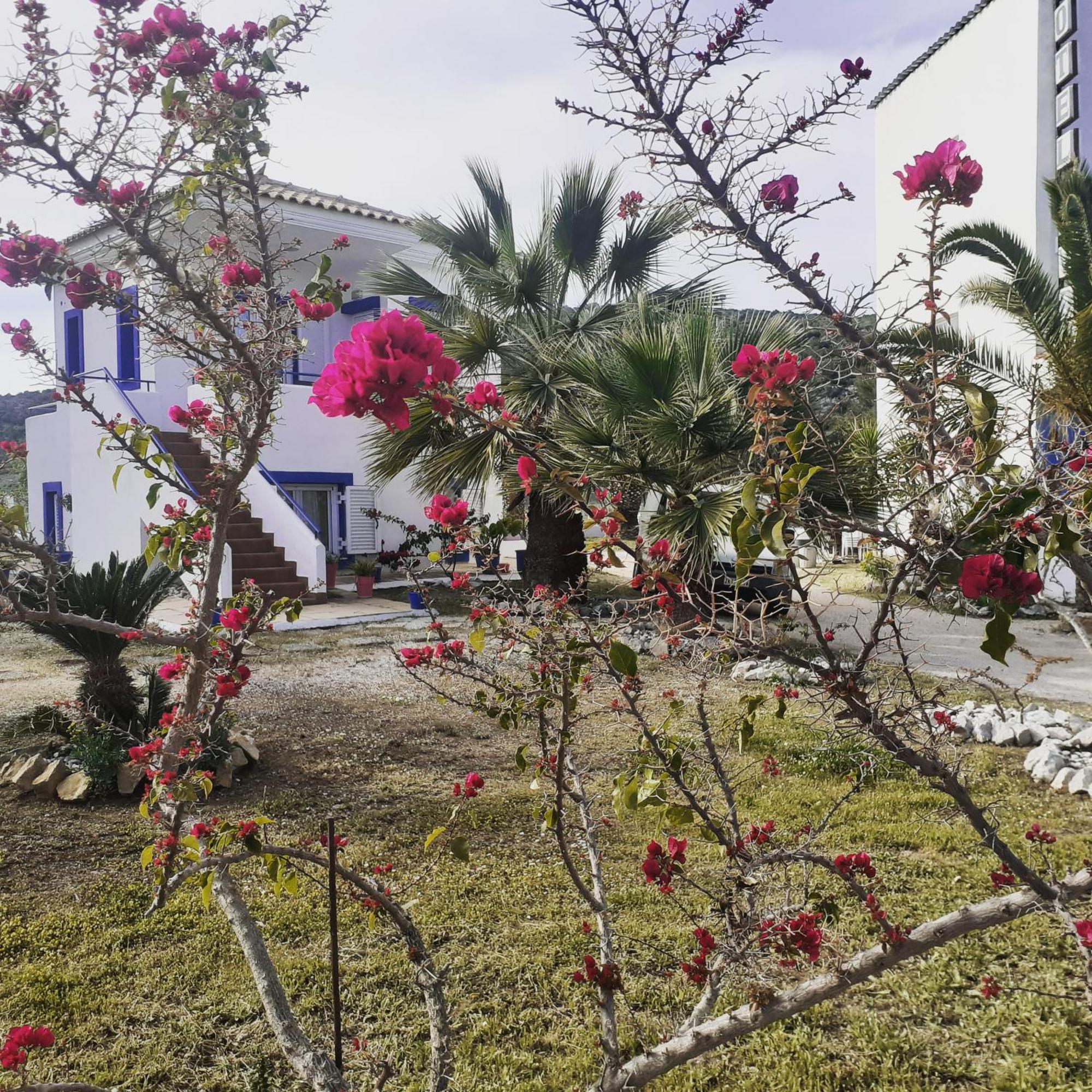 Hotel Avra Nea Epidavros Dış mekan fotoğraf