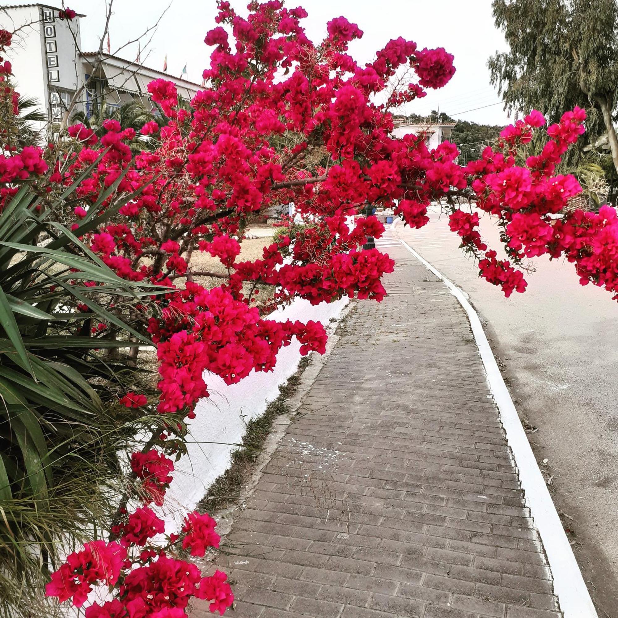 Hotel Avra Nea Epidavros Dış mekan fotoğraf